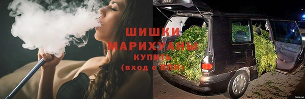 гашик Алзамай