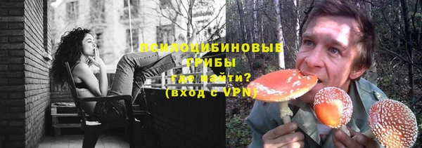 ГАЛЛЮЦИНОГЕННЫЕ ГРИБЫ Алексеевка