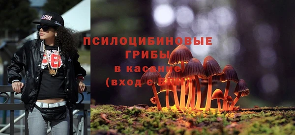 ГАЛЛЮЦИНОГЕННЫЕ ГРИБЫ Алексеевка