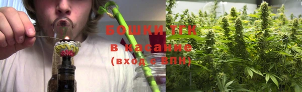 ГАЛЛЮЦИНОГЕННЫЕ ГРИБЫ Алексеевка