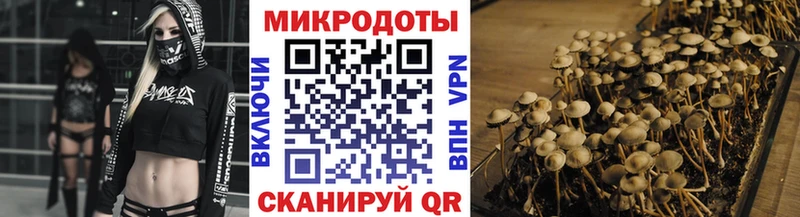 OMG маркетплейс  Саров  Псилоцибиновые грибы мицелий 