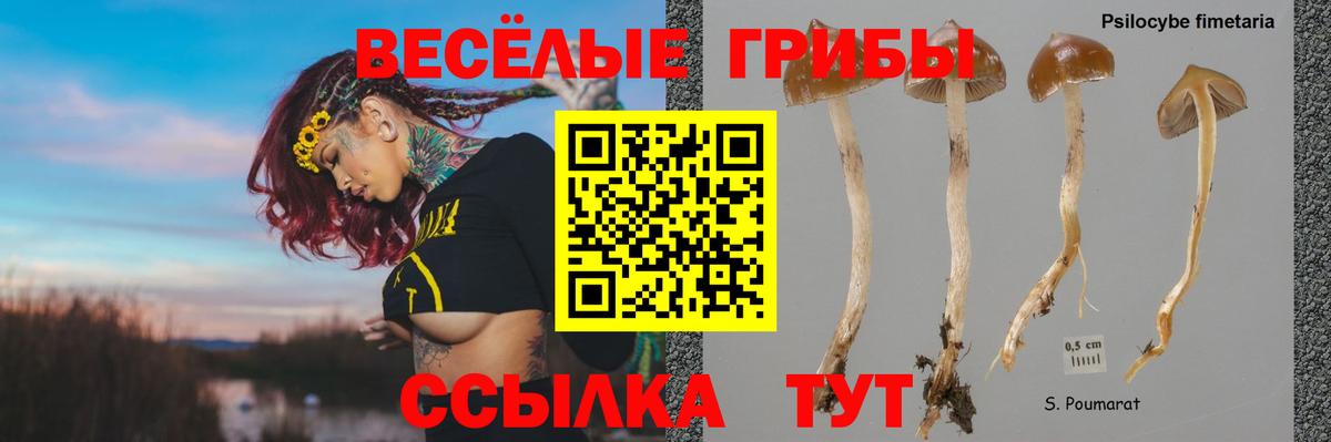 Псилоцибиновые грибы ЛСД  Вход с VPN  Саров 