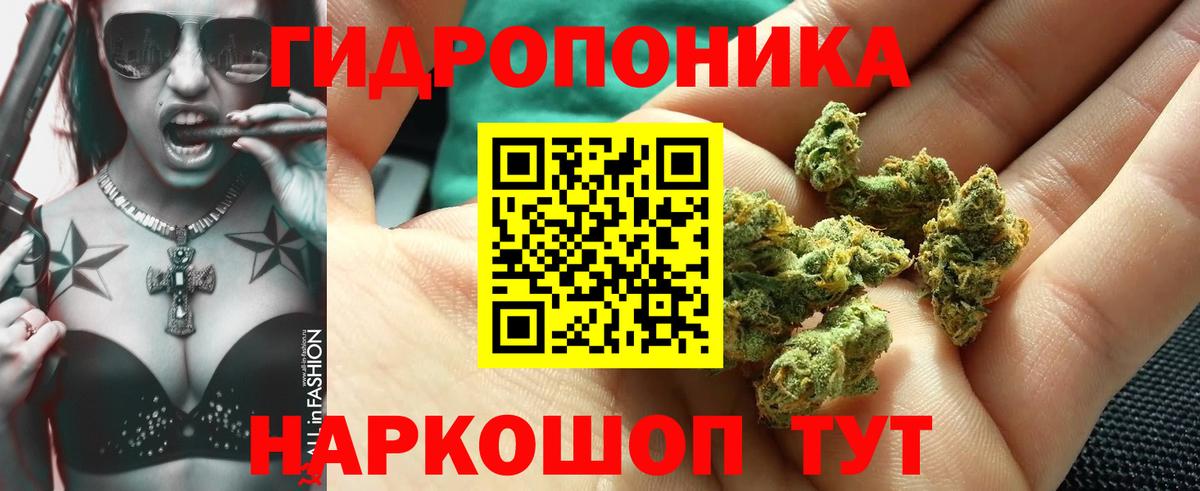 Канабис OG Kush Саров